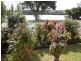 1 Fingal Road, Fingal Head NSW 2487