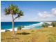 1 Fingal Road, Fingal Head NSW 2487