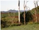 14 Loders Road, Duranbah NSW 2487