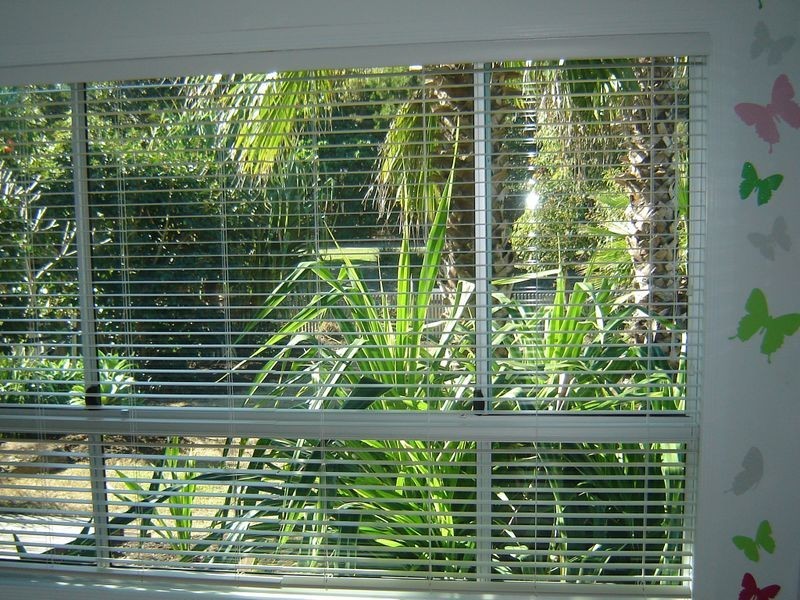 3 She Oak Lane, Casuarina NSW 2487