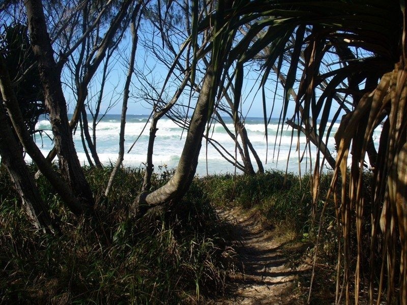 12 Dune Street, Fingal Head NSW 2487