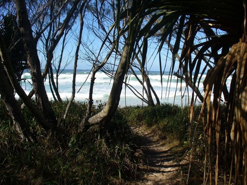 12 Dune Street, Fingal Head NSW 2487