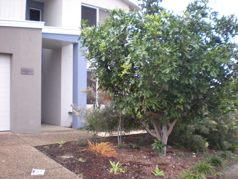 C60 Casuarina Way, Casuarina NSW 2487