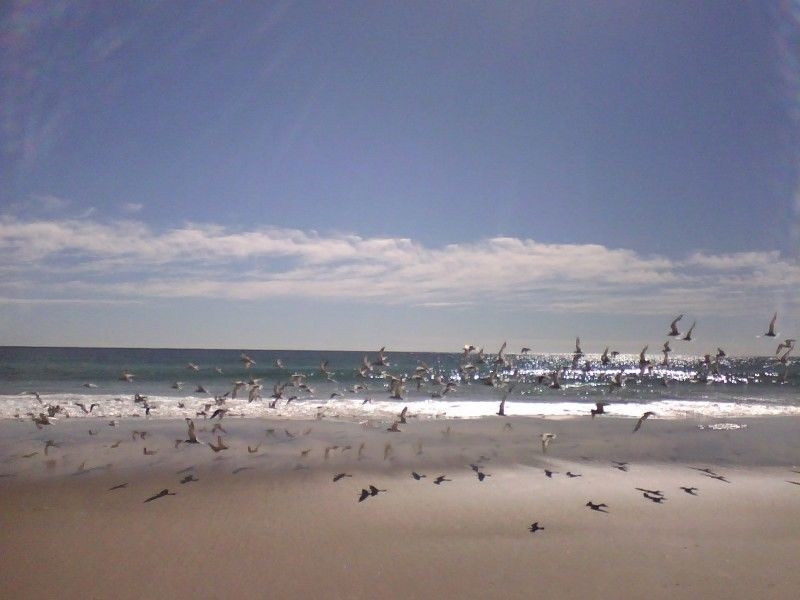 7/60 Marine Parade, Kingscliff NSW 2487