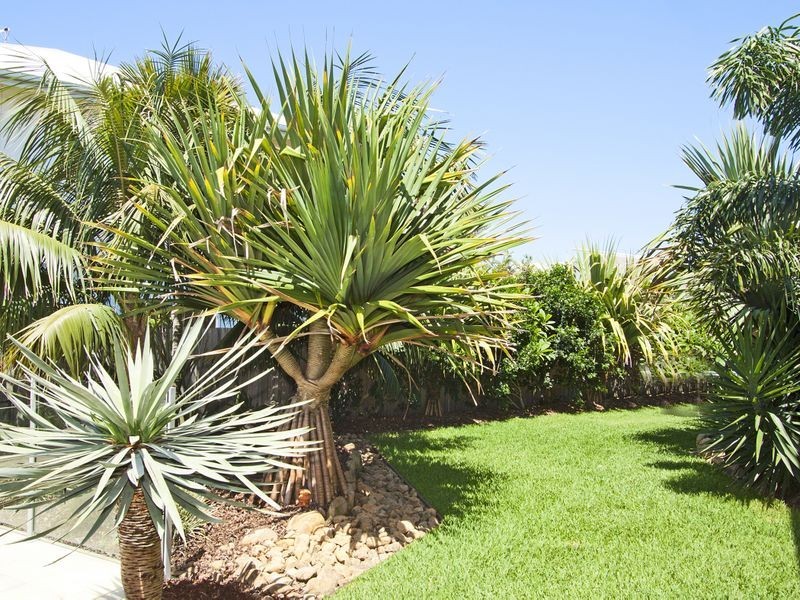 9 Aeolus Lane, Casuarina NSW 2487