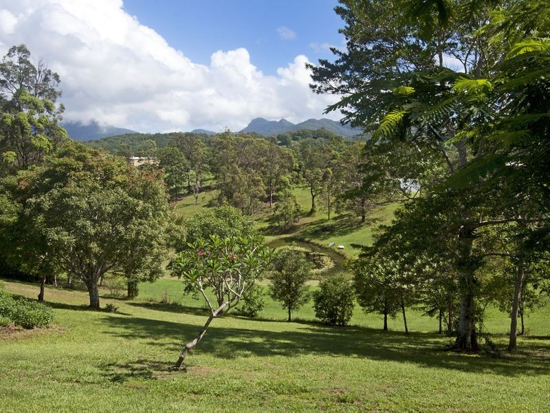 121 Blackwoods Road, Nobbys Creek NSW 2484