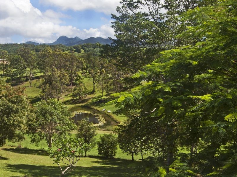 121 Blackwoods Road, Nobbys Creek NSW 2484