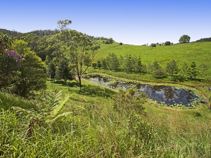 121 Blackwoods Road, Nobbys Creek NSW 2484