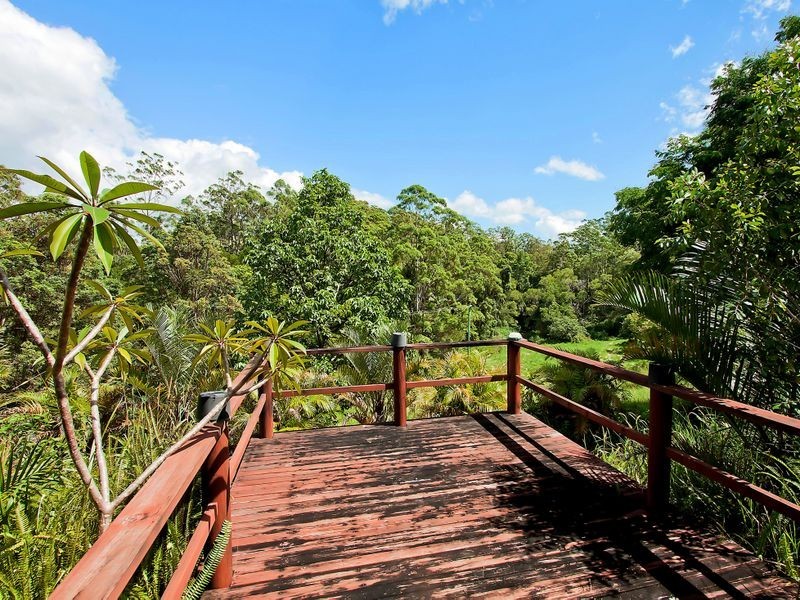 687 Commissioners Creek Road, Commissioners Creek NSW 2484