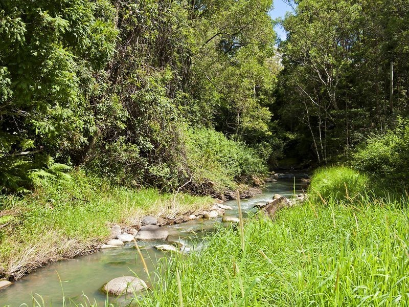 687 Commissioners Creek Road, Commissioners Creek NSW 2484