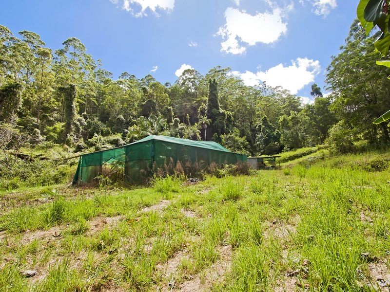 687 Commissioners Creek Road, Commissioners Creek NSW 2484