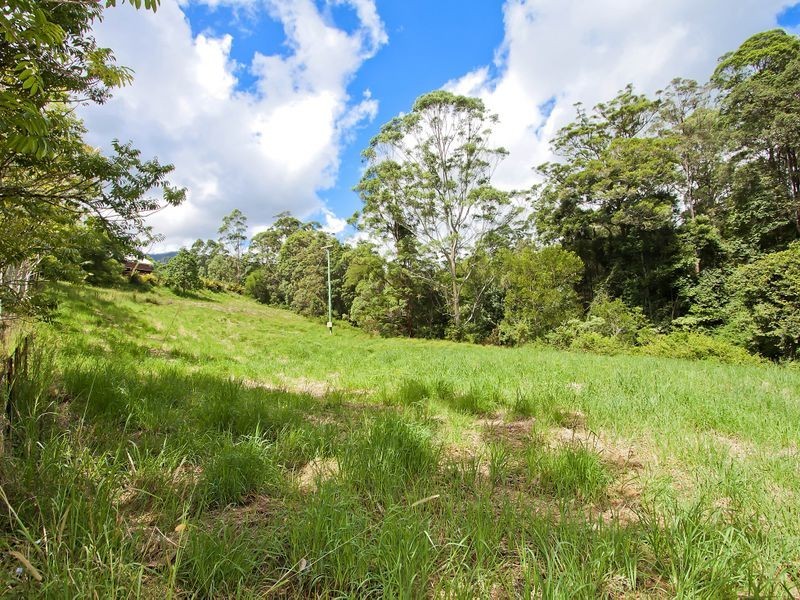 687 Commissioners Creek Road, Commissioners Creek NSW 2484