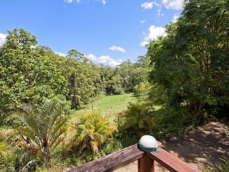 687 Commissioners Creek Road, Commissioners Creek NSW 2484