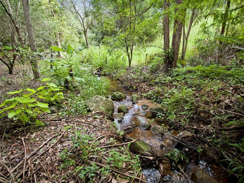 687 Commissioners Creek Road, Commissioners Creek NSW 2484