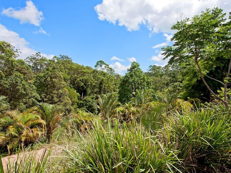 687 Commissioners Creek Road, Commissioners Creek NSW 2484