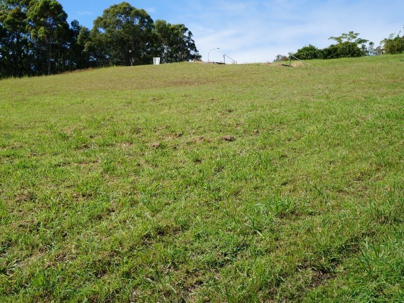 42 Lomandra Avenue, Pottsville Beach NSW 2489