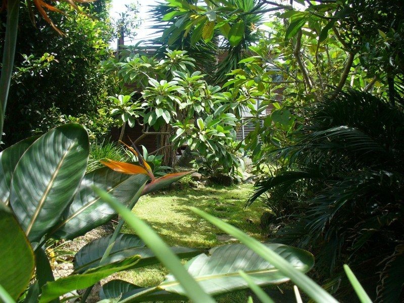 12 Marine Parade, Fingal Head NSW 2487