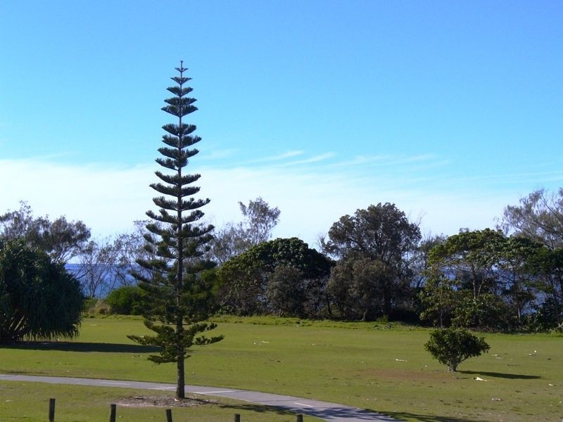 1/188 Marine Parade, Kingscliff NSW 2487