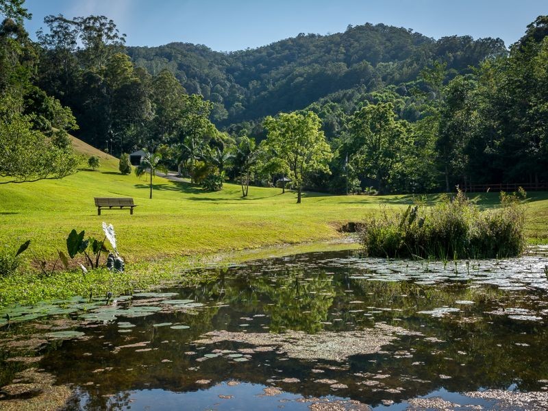 39 Pigeonberry Road, Nobbys Creek NSW 2484