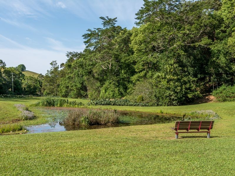 39 Pigeonberry Road, Nobbys Creek NSW 2484