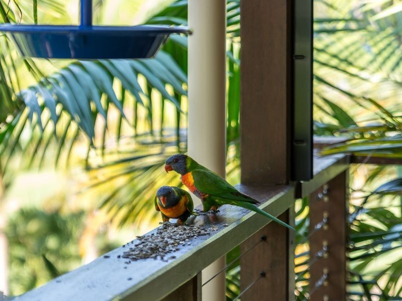 39 Pigeonberry Road, Nobbys Creek NSW 2484