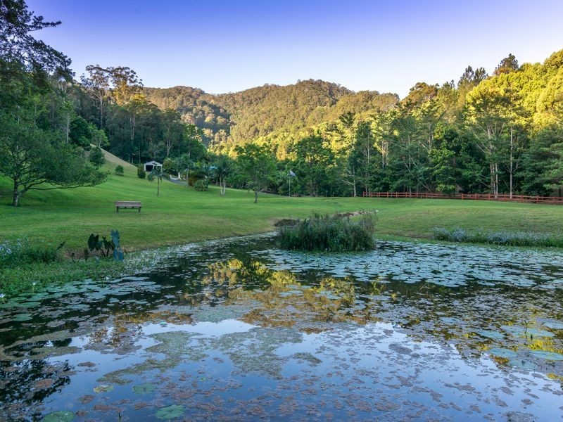 39 Pigeonberry Road, Nobbys Creek NSW 2484