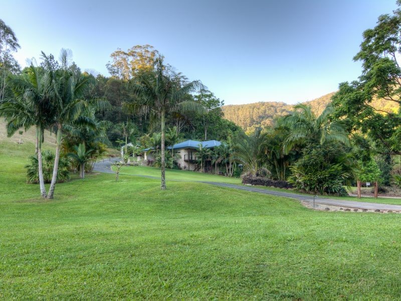 39 Pigeonberry Road, Nobbys Creek NSW 2484