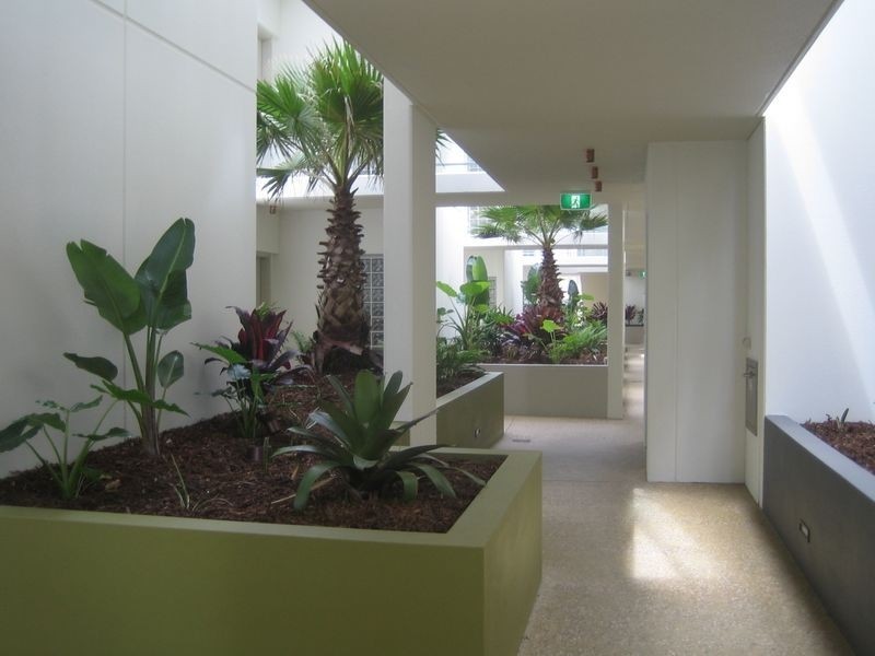 55/31 Casuarina Way, Casuarina NSW 2487