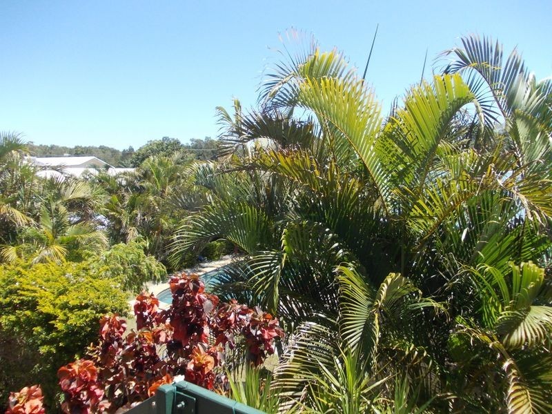 2/10 Shell Street, Kingscliff NSW 2487