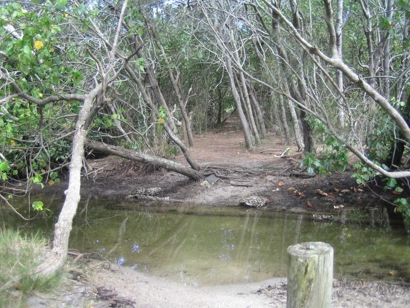 46 Fingal Road, Fingal Head NSW 2487