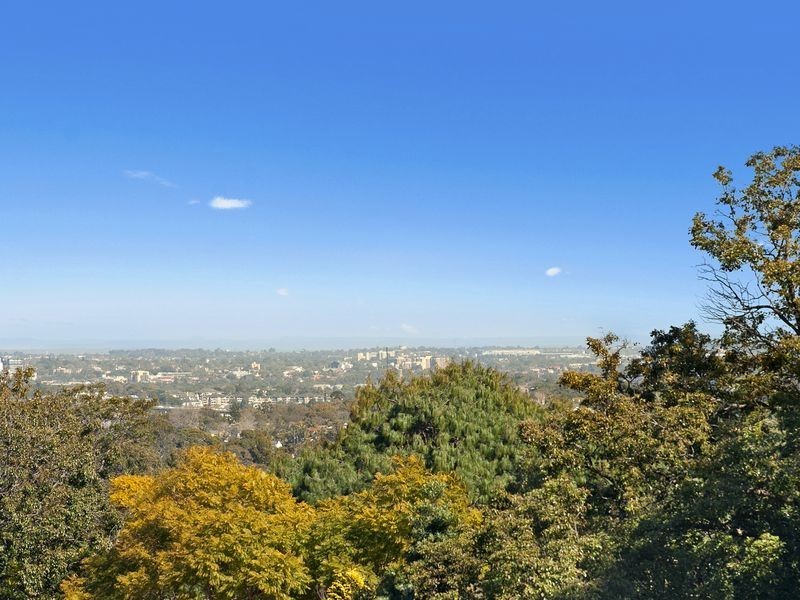 16 Osborne Road, Greenwich NSW 2065