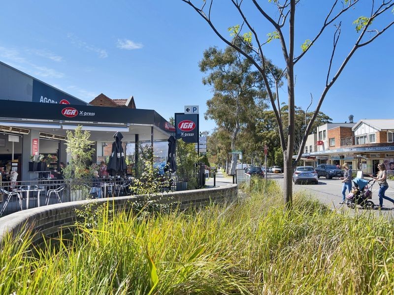 24 Matthews Avenue, Lane Cove NSW 2066