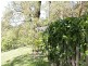 1/17-19 Busaco Road, Marsfield NSW 2122