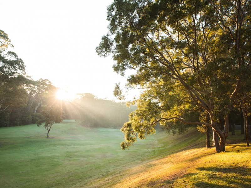 15 Bridge Street, Lane Cove NSW 2066