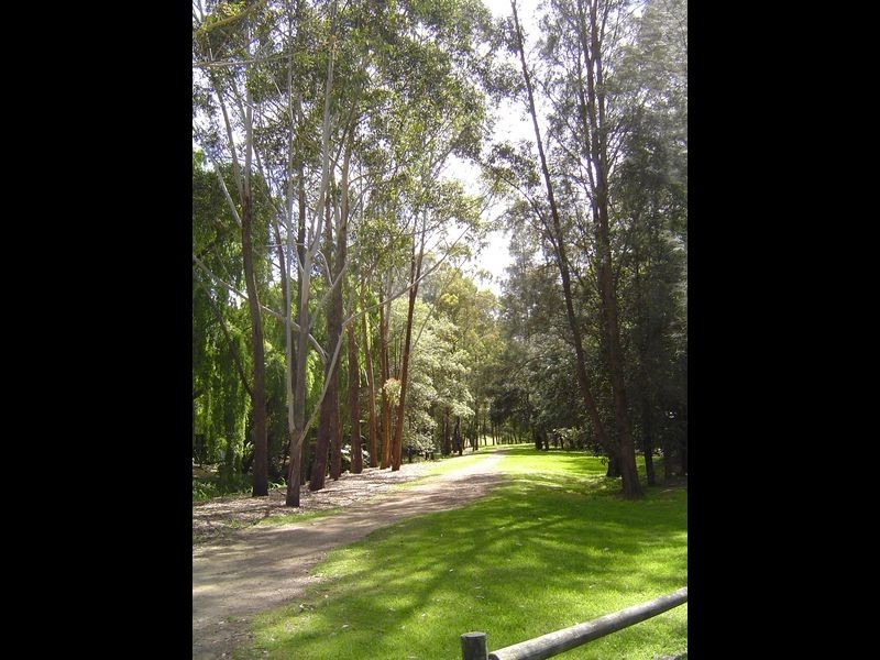 136 Riverview Street, Riverview NSW 2066
