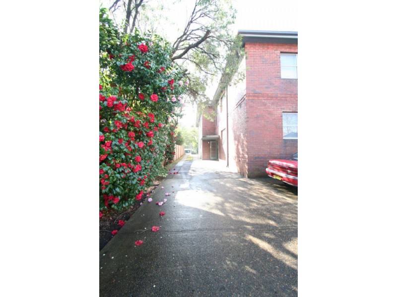 3/222 Pacific Highway, Greenwich NSW 2065