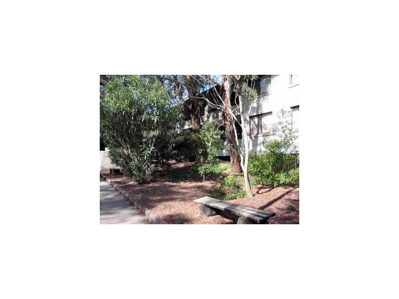 13/120 Burns Bay Road, Lane Cove NSW 2066