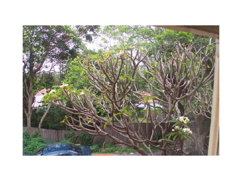 31 Longueville Road, Lane Cove NSW 2066