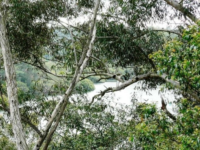 13/299 Burns Bay Rd, Lane Cove NSW 2066