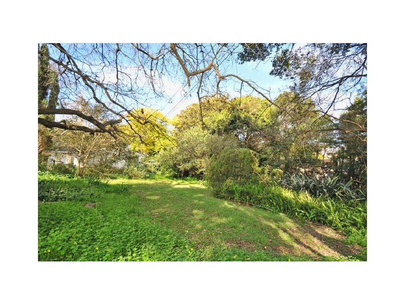 7 Derby Street, St Ives NSW 2075