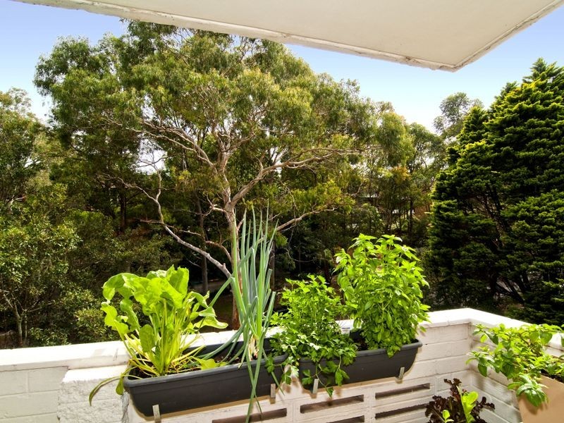 16/6 Murray Street, Lane Cove NSW 2066