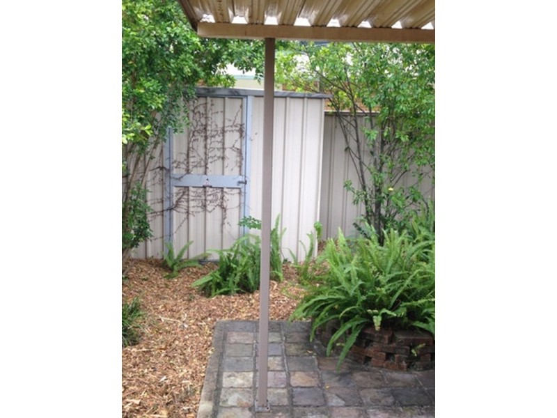 1 Rosa Street, Birkdale QLD 4159