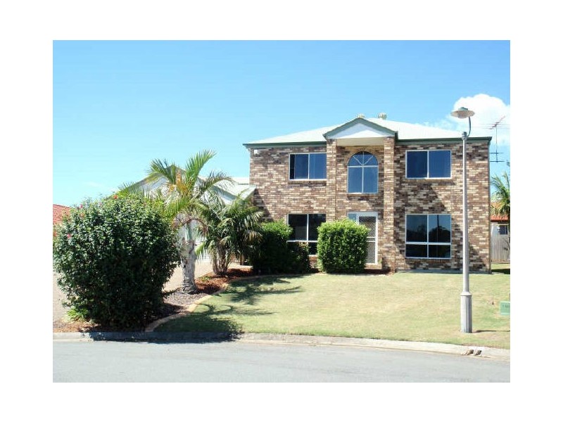 16 Walnut Court, Birkdale QLD 4159