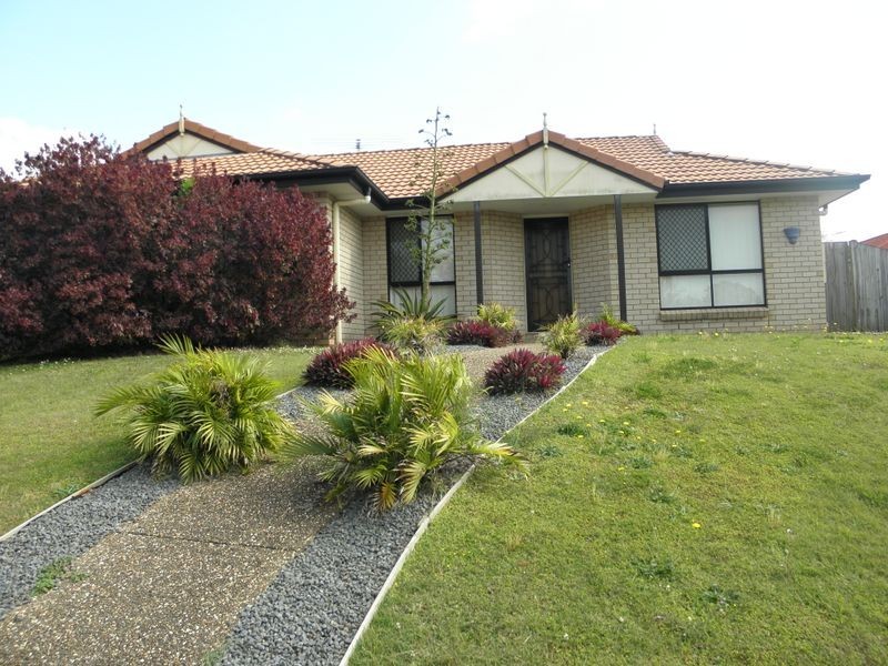 81 Carinyan Drive, Birkdale QLD 4159