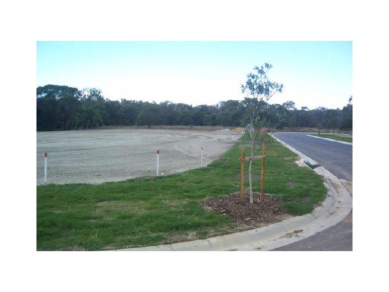 Lot 20 Starkey Street, Wellington Point QLD 4160