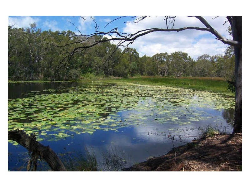 Lot 22 Poloni Place, Wellington Point QLD 4160