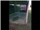 146 Mooroondu Road, Thorneside QLD 4158