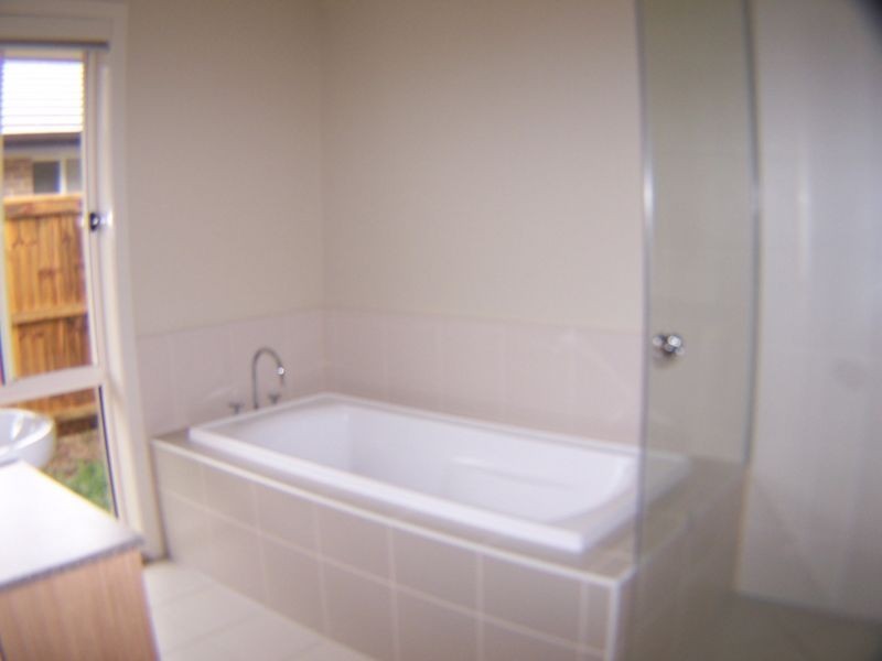 4 Amalia Street, Birkdale QLD 4159