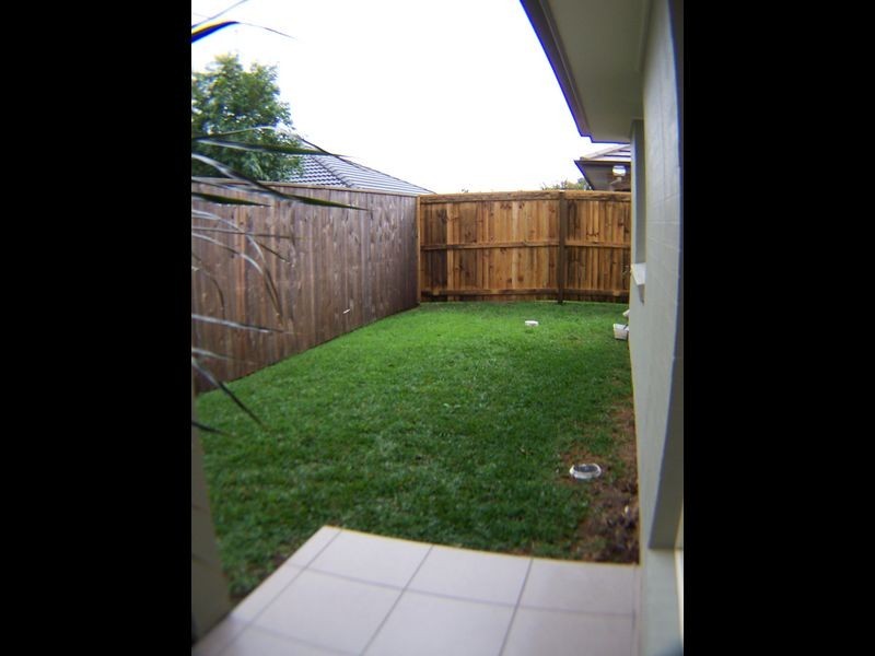 4 Amalia Street, Birkdale QLD 4159