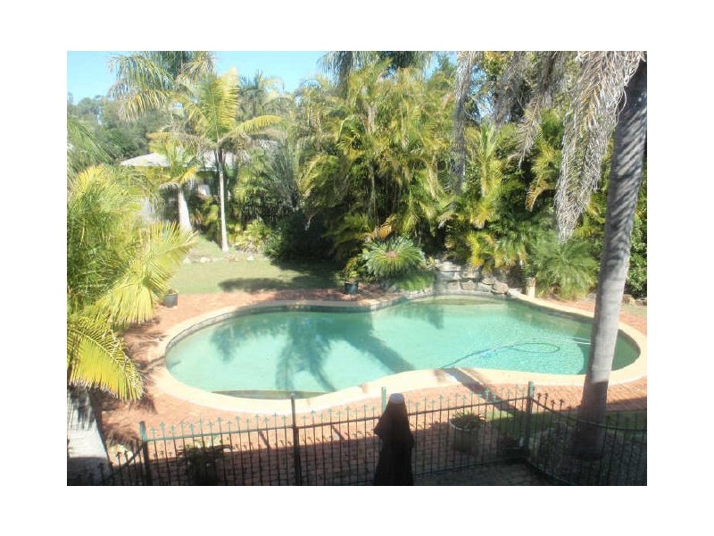 9 Caston Court, Birkdale QLD 4159